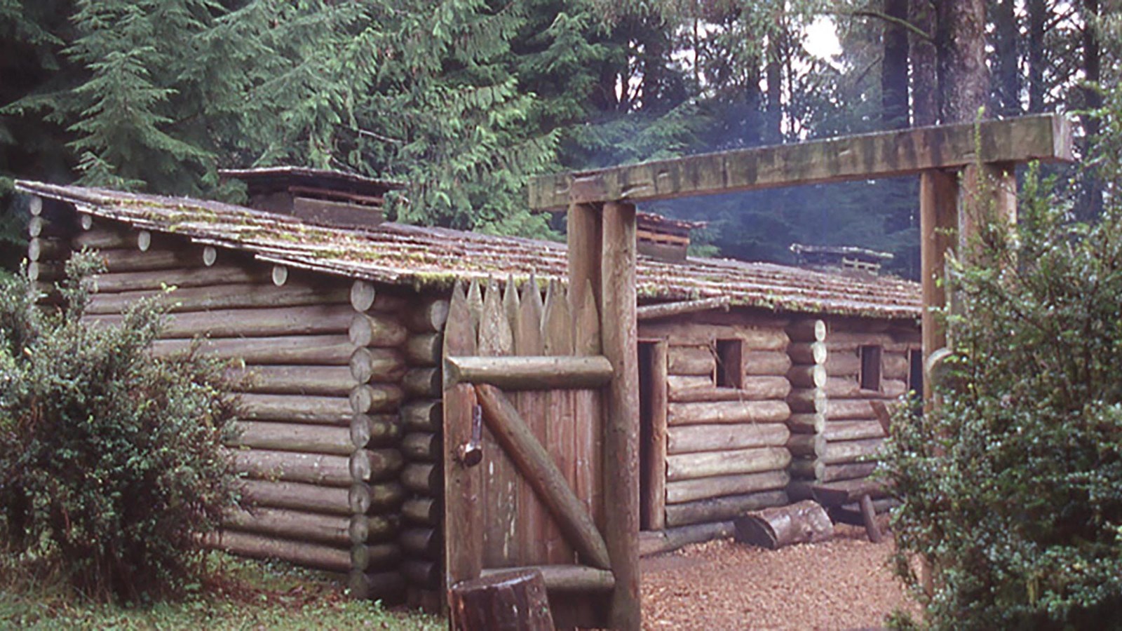 Log fort with smoke coming from it, tall cedar trees grow around it. 