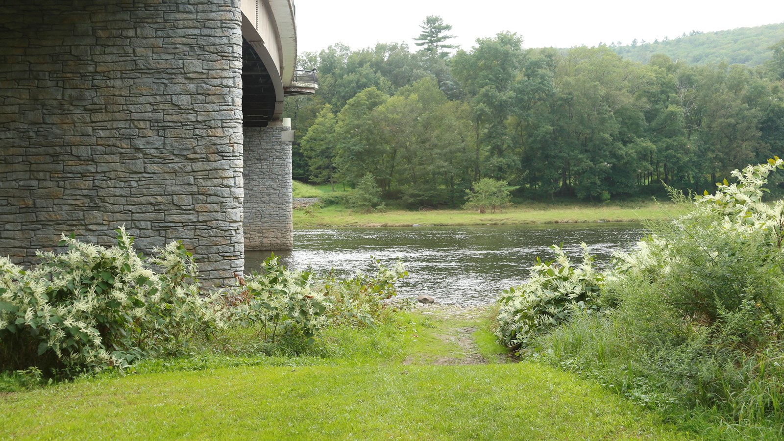 A grassy path flanked by tall bushes with white flowers leads to the river. On the left is a bridge.