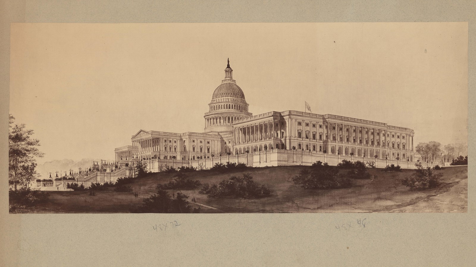 Pencil drawing of U.S. Capitol with dome at top, stairs leading up, grass and shrubs next to it 