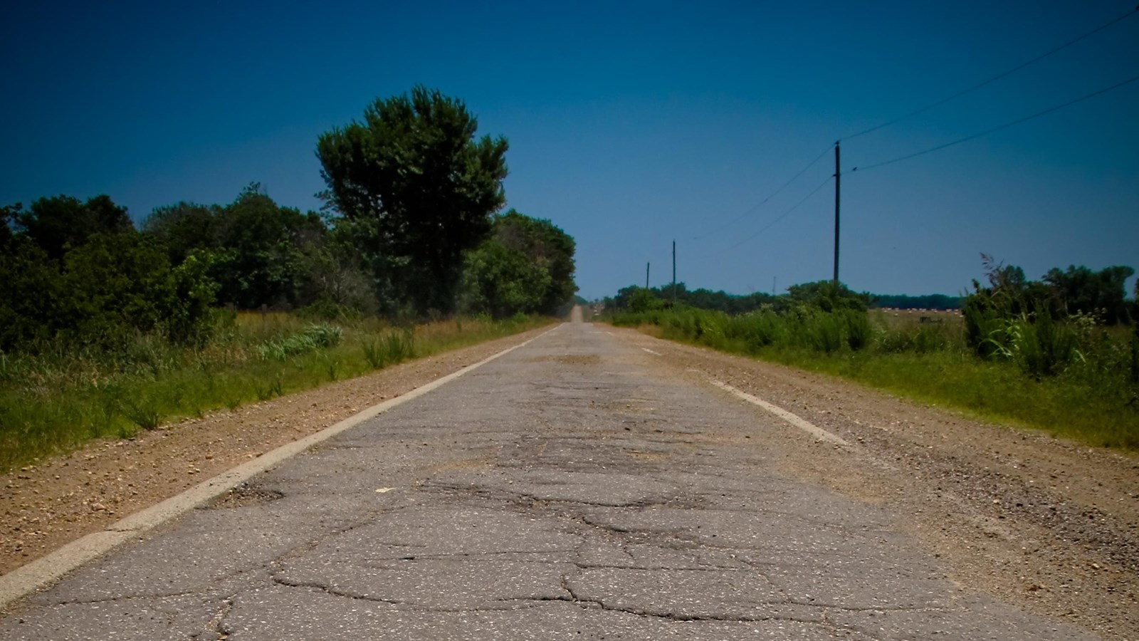 A thin paved section of road with green meadows and evergreen trees on either side.