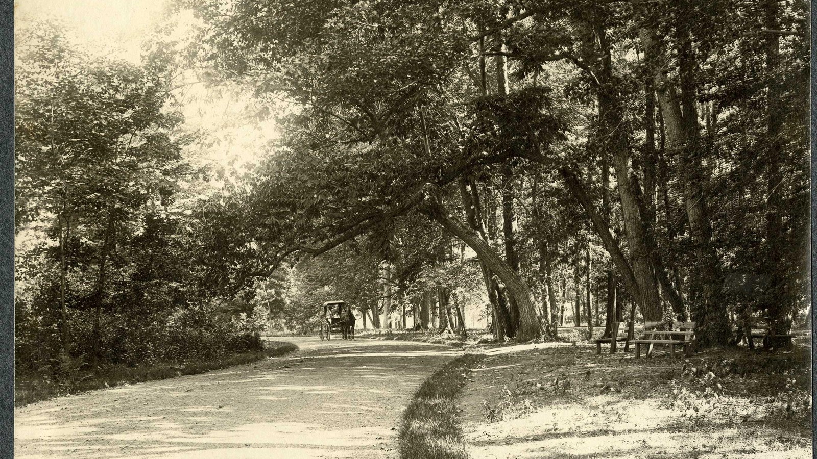 Black and white of curving road lined with grass and trees with horse and carriage on it
