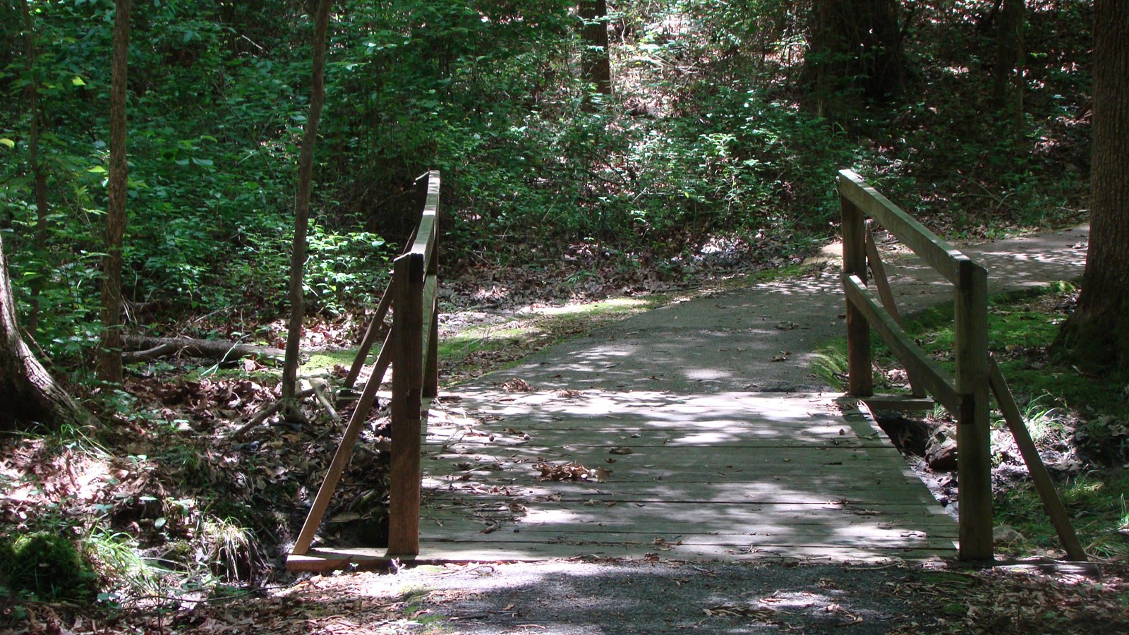 A wooden foot bridge on a trail