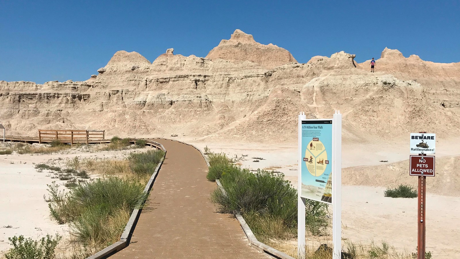 A boardwalk extends towards badlands formations under blue sky amid exhibit and rattlesnake sign.