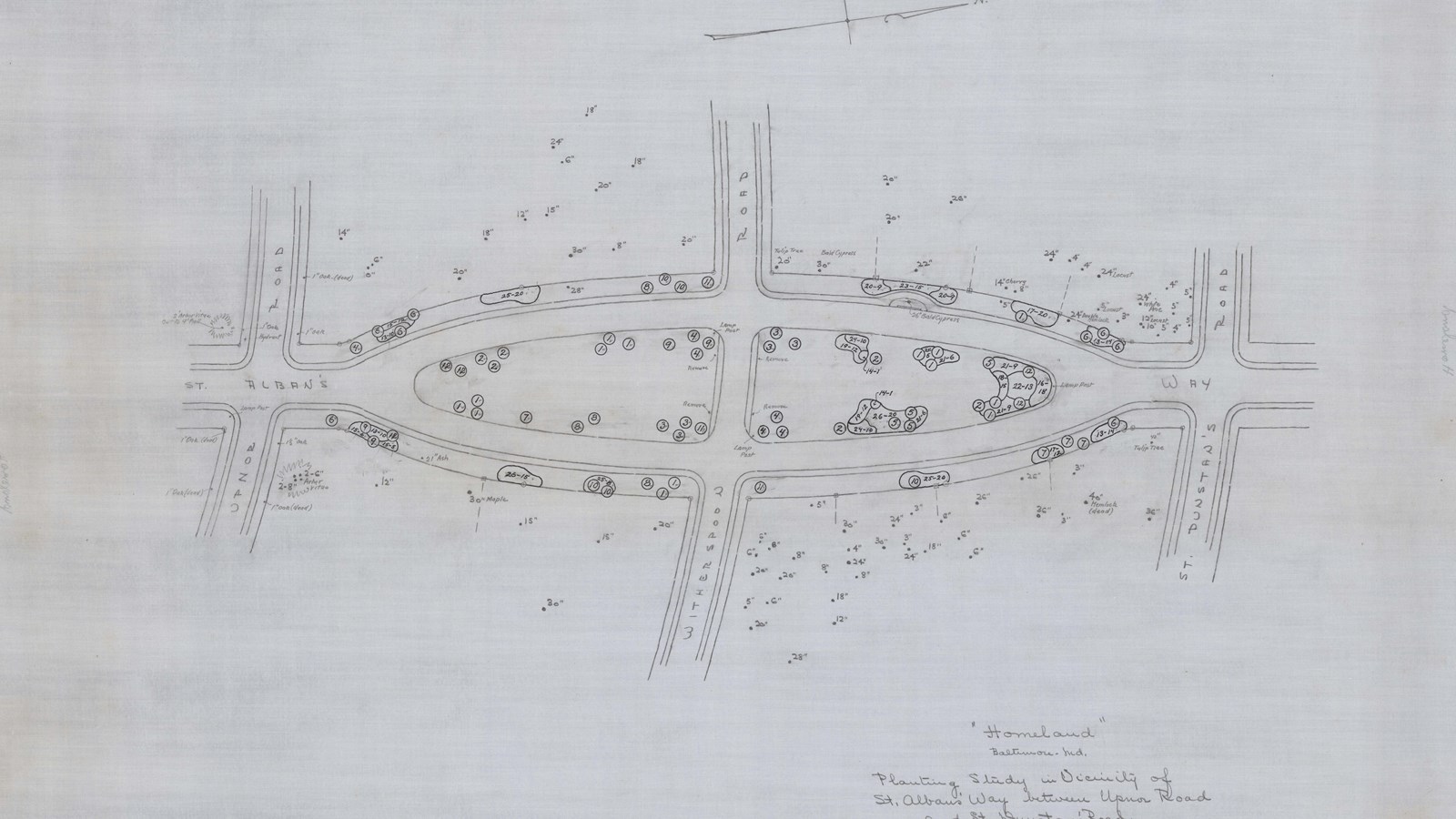Pencil plan of oval road lined with trees