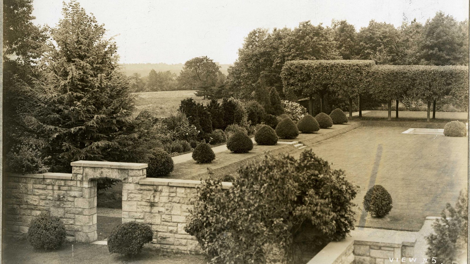 Black and white of flat grassy area with stone wall and a line of shrubs with trees in back