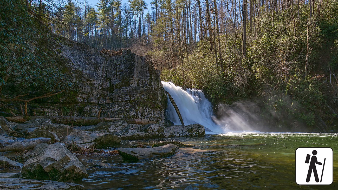 Waterfall flows over rocks and pours into greenish colored pool with rocks and shrubs around it.