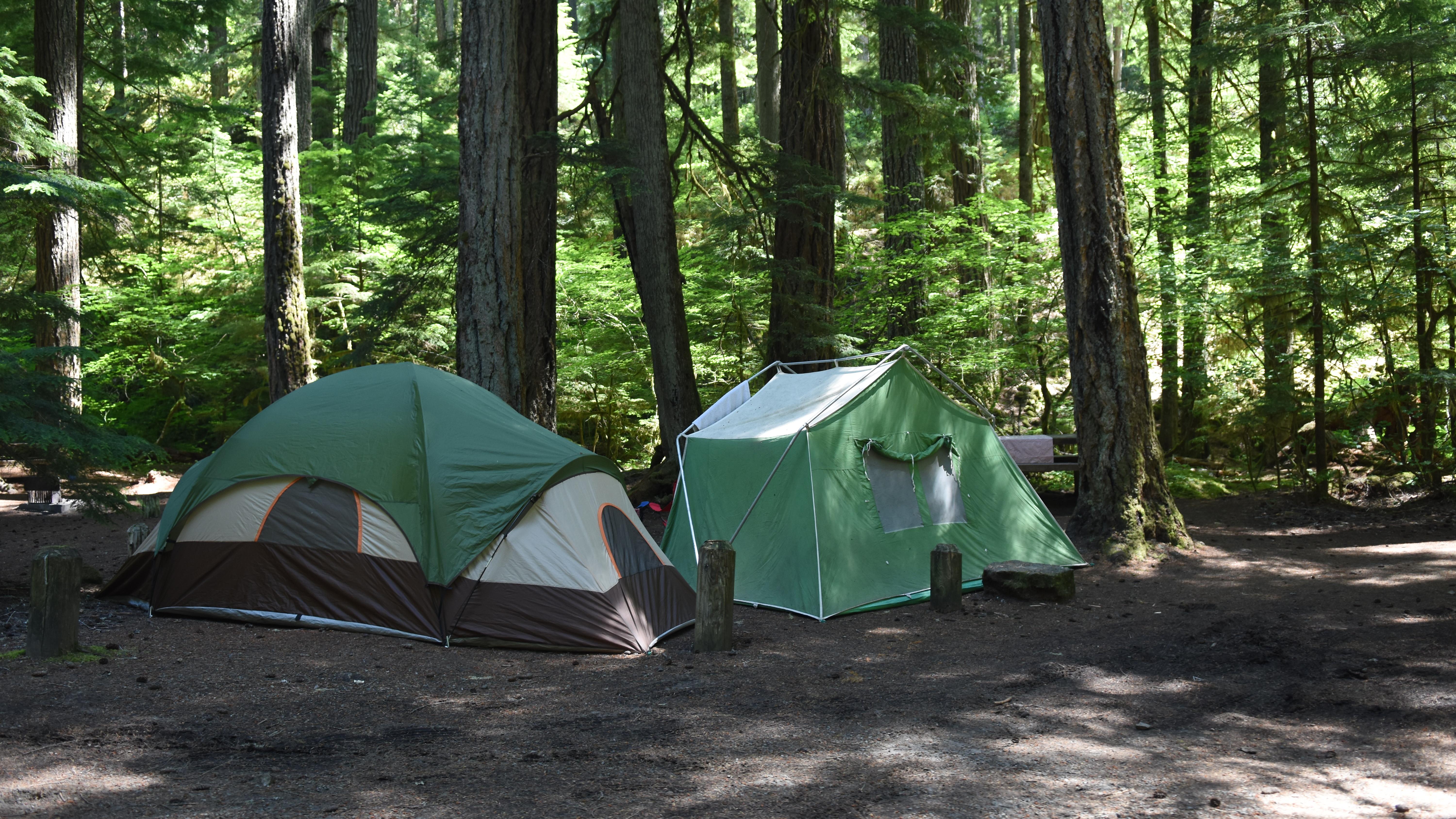 Camping at Mount Rainier (U.S. National Park Service)