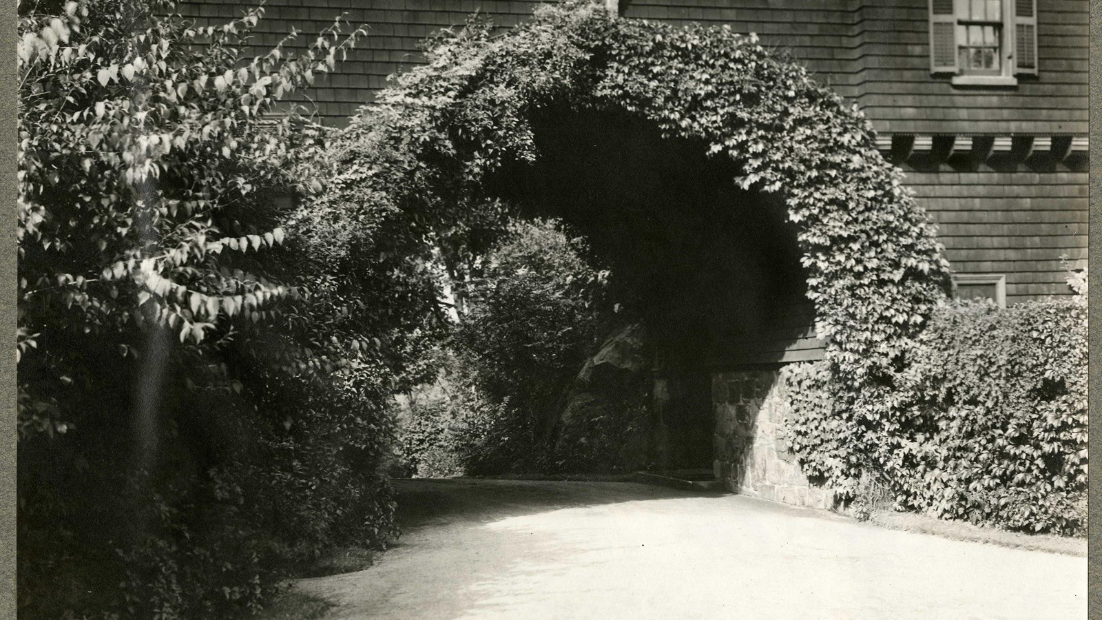 Black and white of arch in home covered with vines with dirt road running under the arch