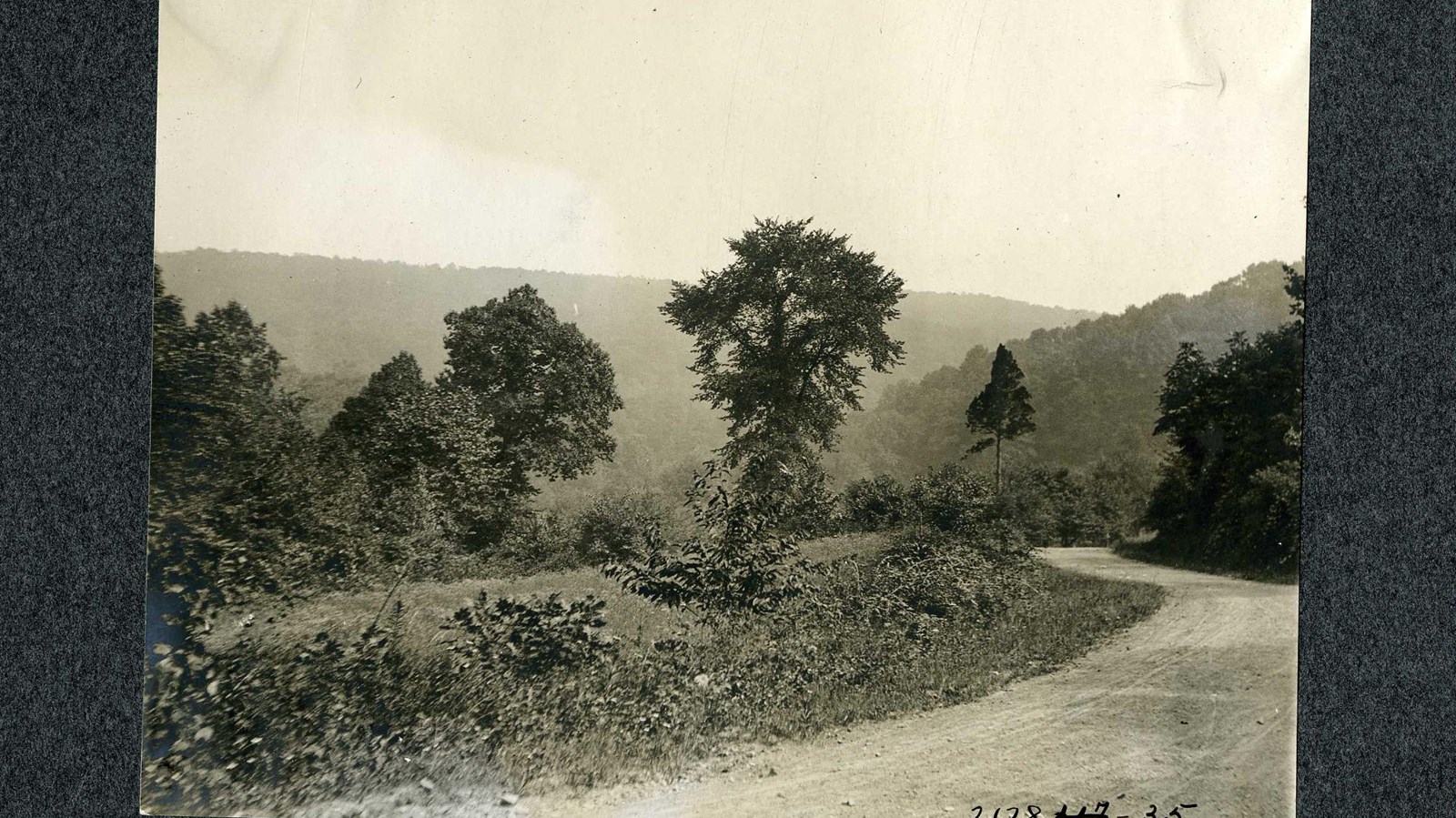 Black and white of curving road with trees and grass on both sides, mountains of trees in distance