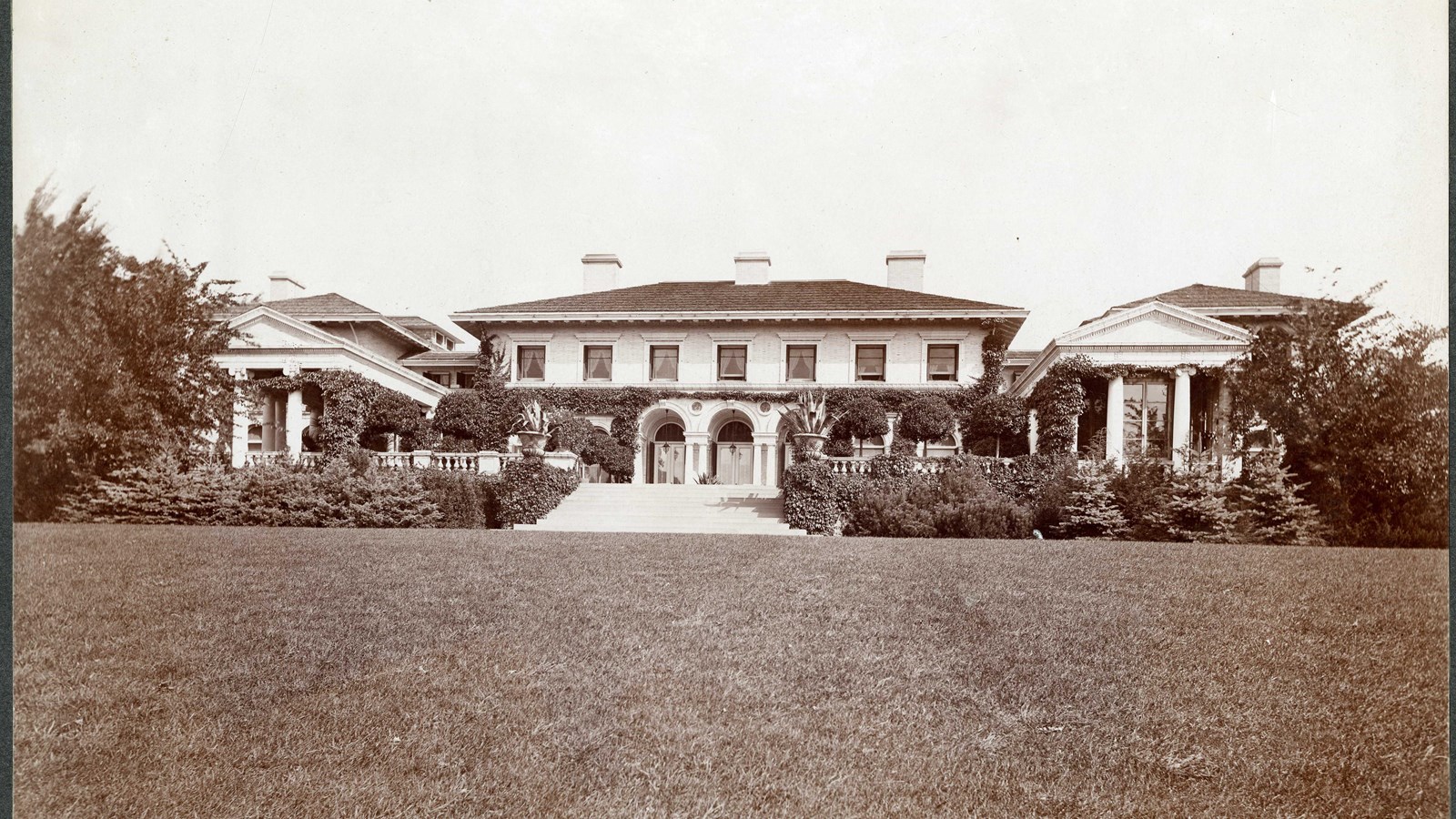Black and white of large symmetrical building with vines up it, grassy area in front