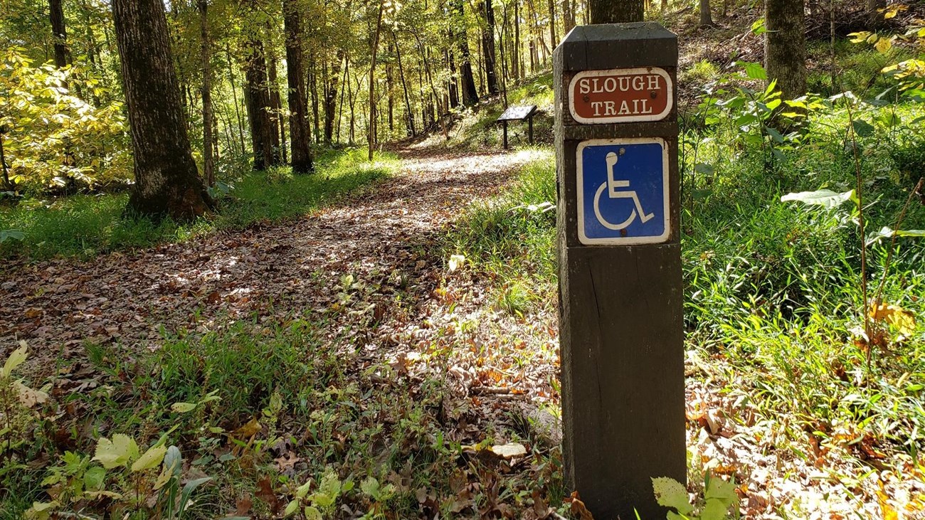 a leafy path going through woods with large trees and a post with slough trail and handicap sign