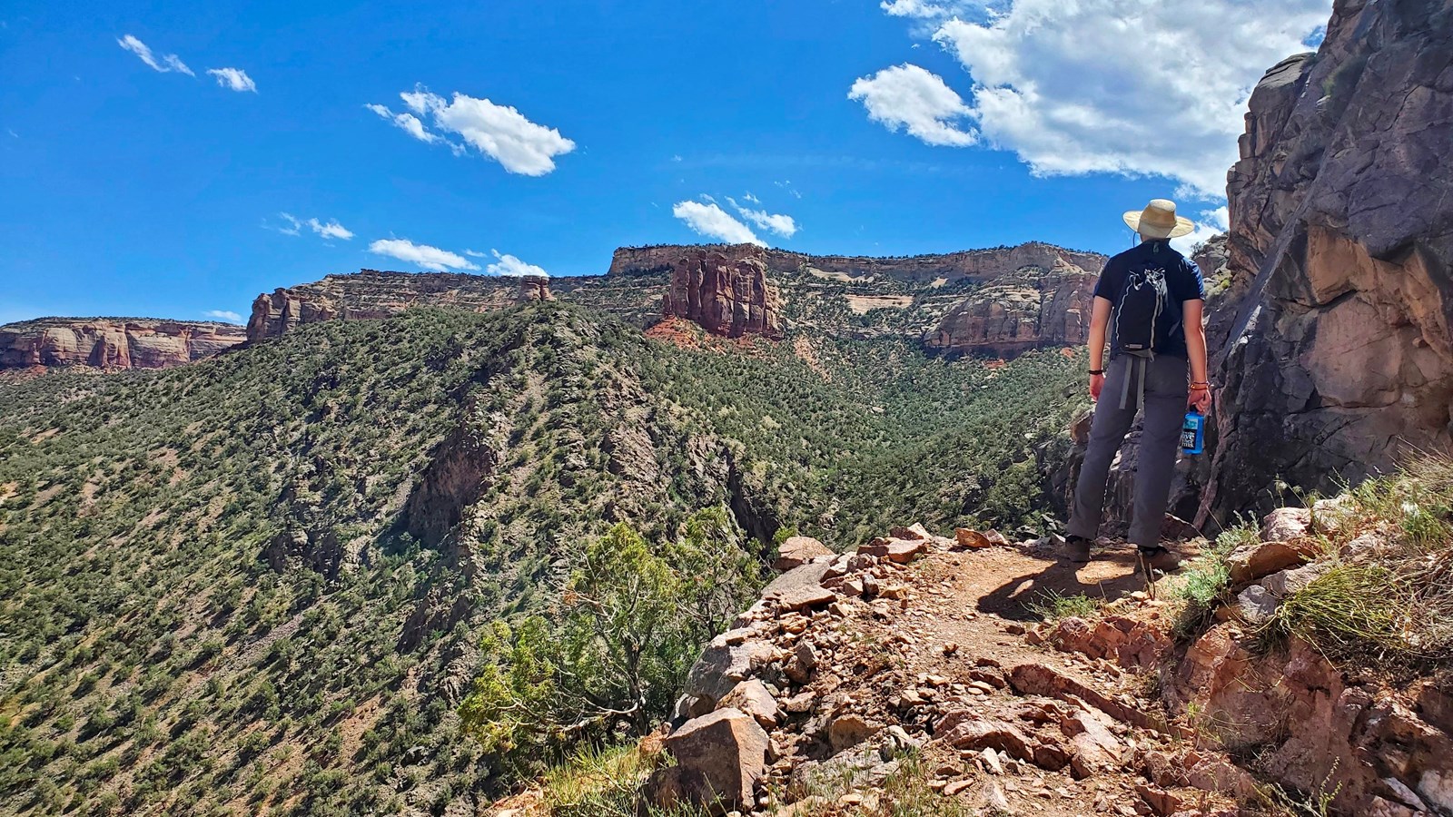 hiker in wide-brimmed hat looks over scenic forested canyons of gray rock