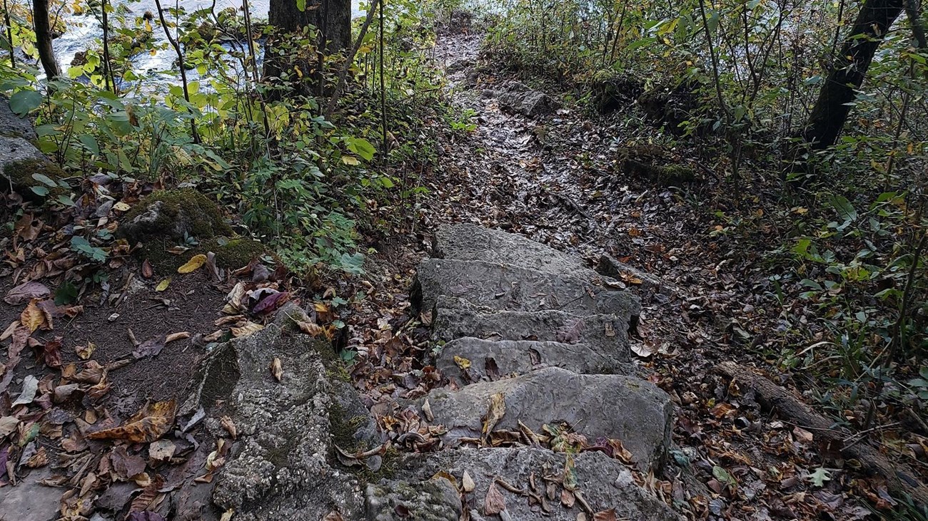 a grey rock stone path leads to the water\'s edge with green brush around path