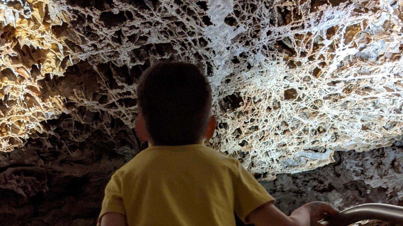 A young male visitor on a stairway stops to look at boxwork on the ceiling above him.