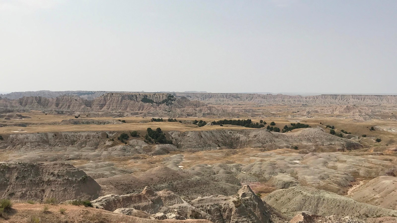 Badlands buttes extend miles into the horizon, dotted by small islands of trees under blue sky.