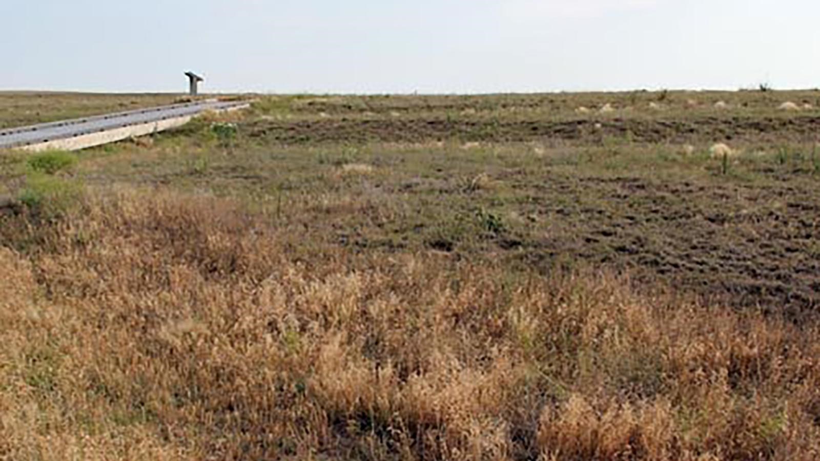 Grassy field with large horizontal ruts. Boardwalk with sign crossing the field.