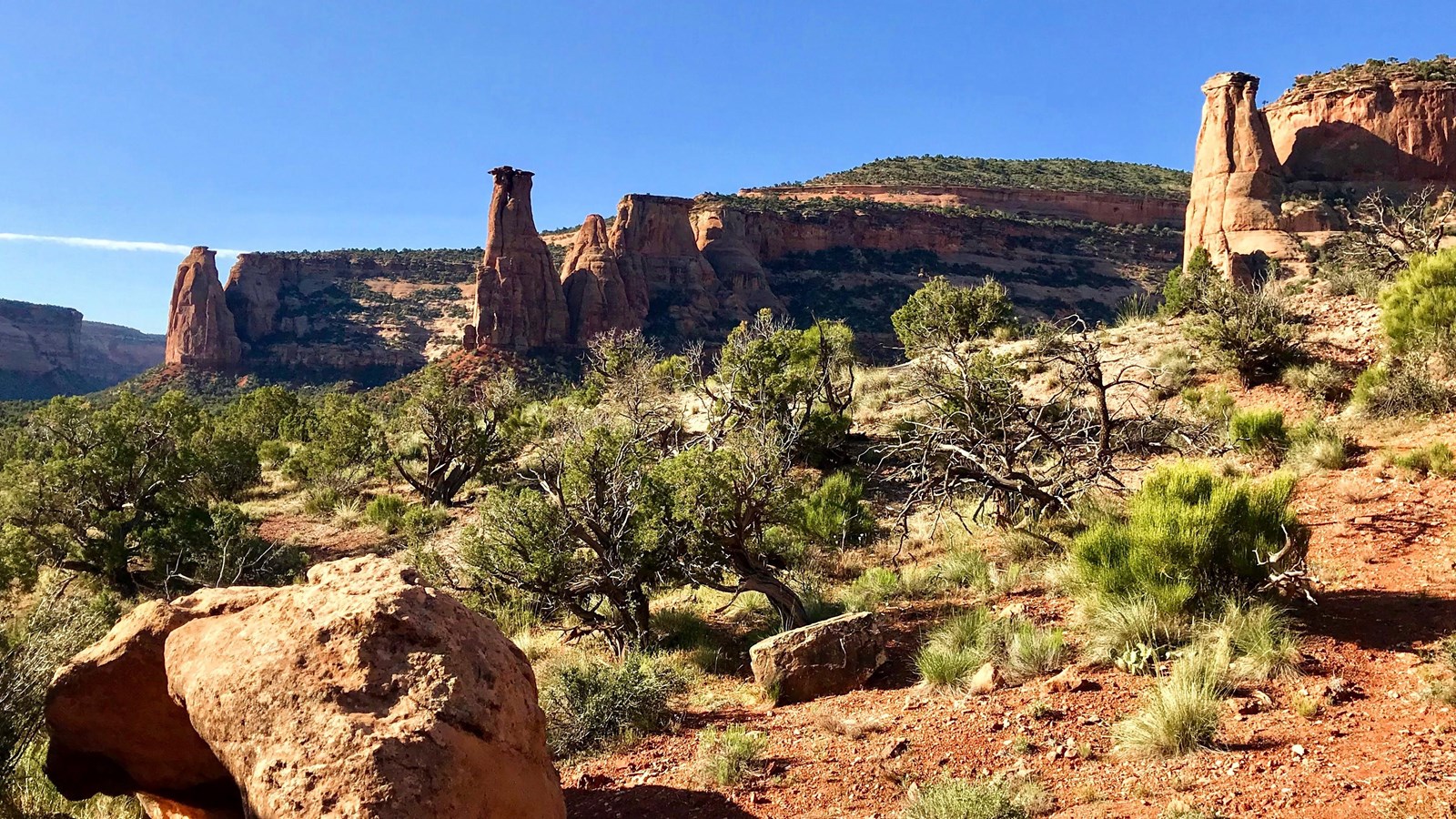 red-orange sandstone cliffs tower above forested canyon bottoms