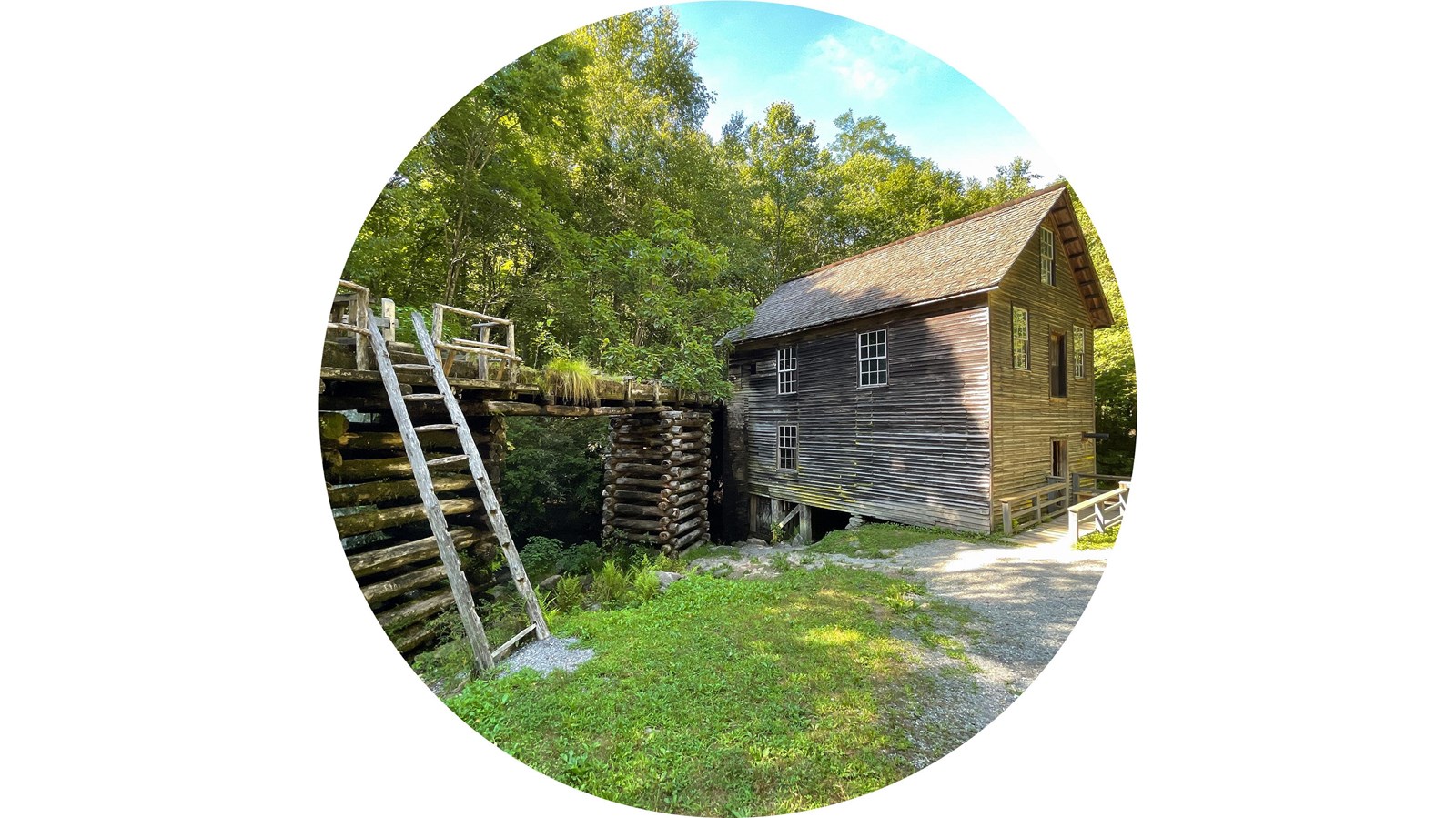 A wooden mill in a forest.