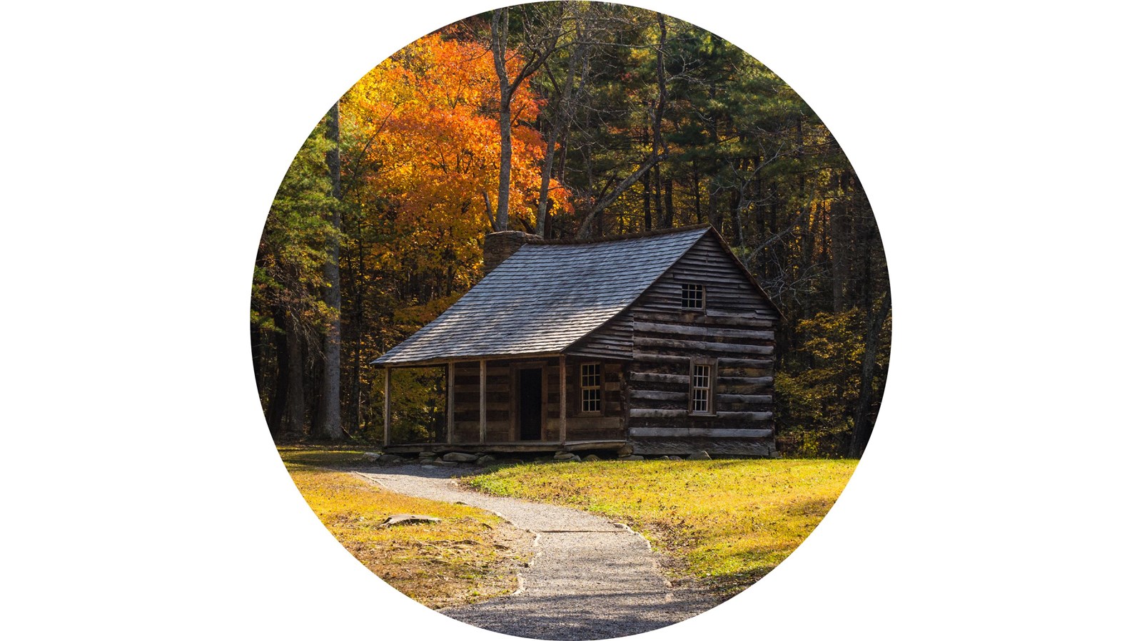 A rustic log cabin sits in a forest clearing surrounded by fall-colored trees.