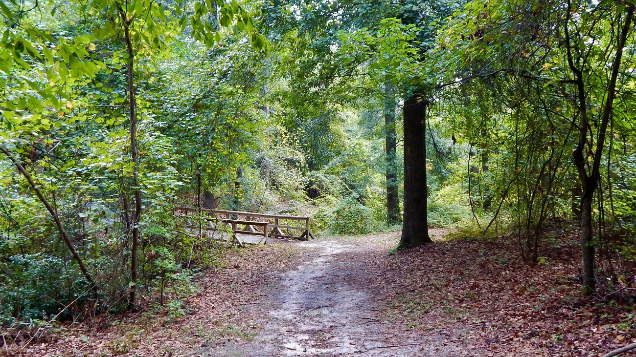 A dirt path through woods leading to a wooden bridge.