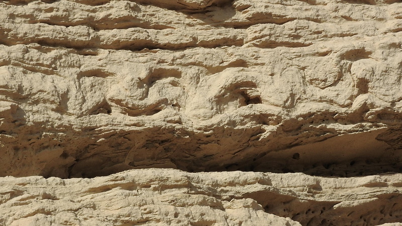 Layers of sandstone are seen, some of the layers show concave-up deformations. 