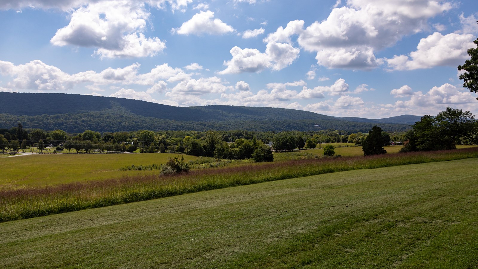 A green field stretches out in front of us. Blue hills roll in the distance.