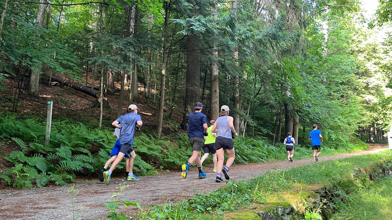 Group of people running down carriage road trail