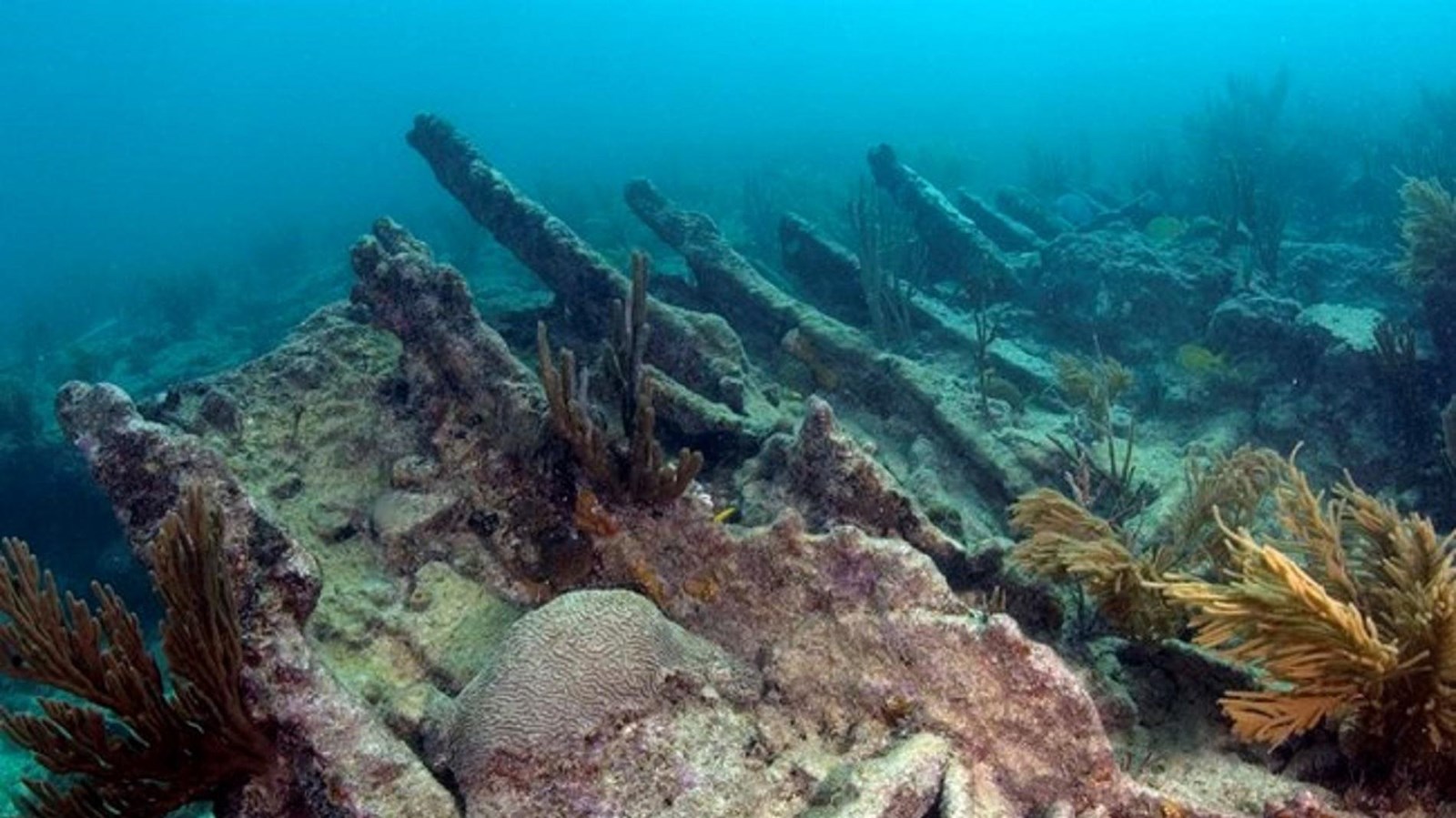 The ribs of a shipwreck buried in the sandy bottom of the ocean