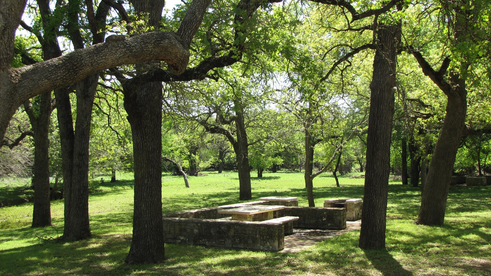 A low-walled area complete with picnic table with metal grill is shaded by numerous trees.