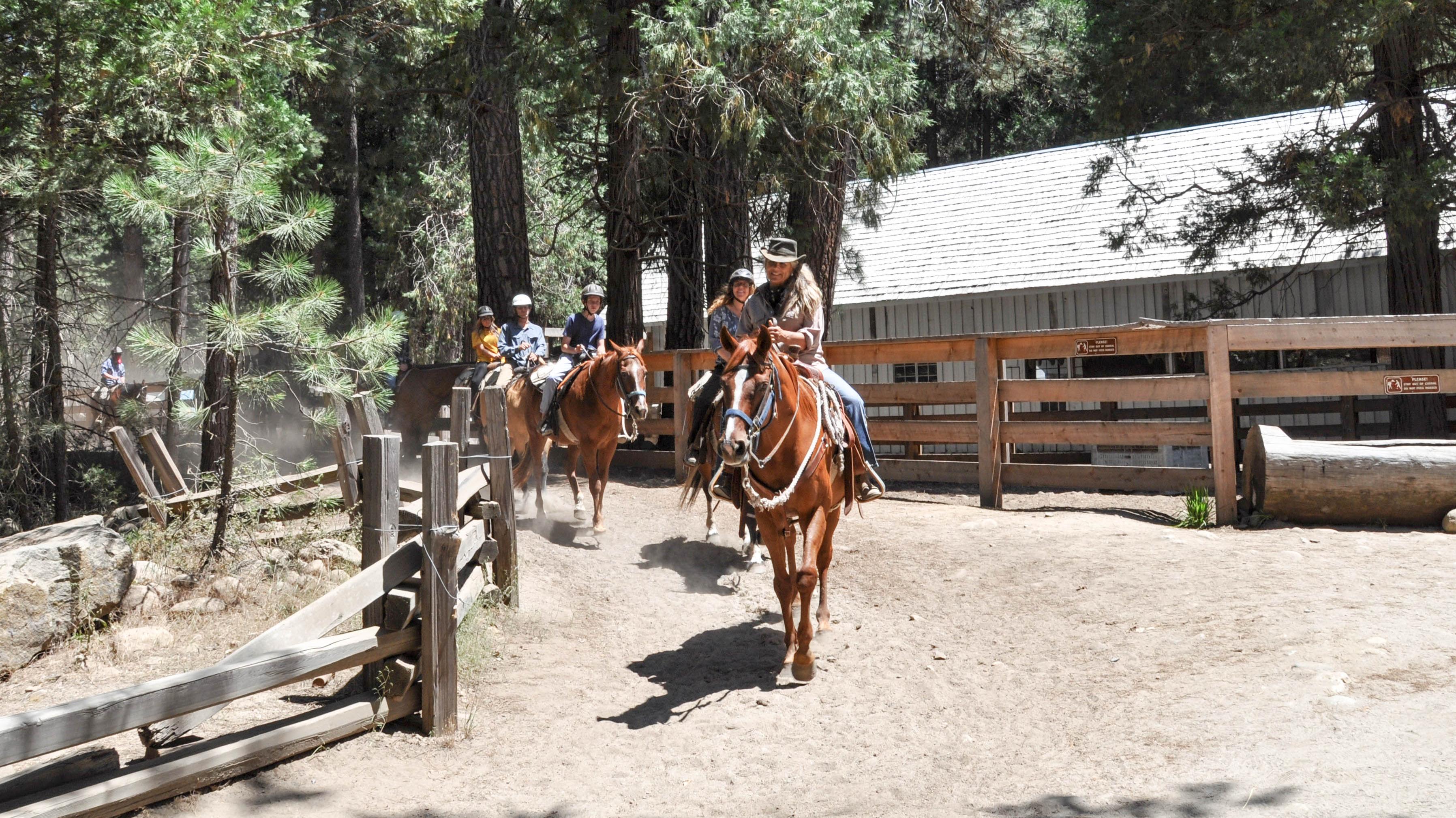 horse stable regulations