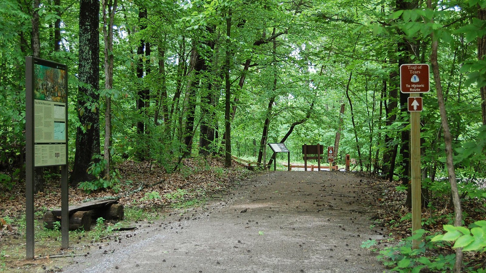 Gravel path several feet wide through forest with several signs and a wooden bench.