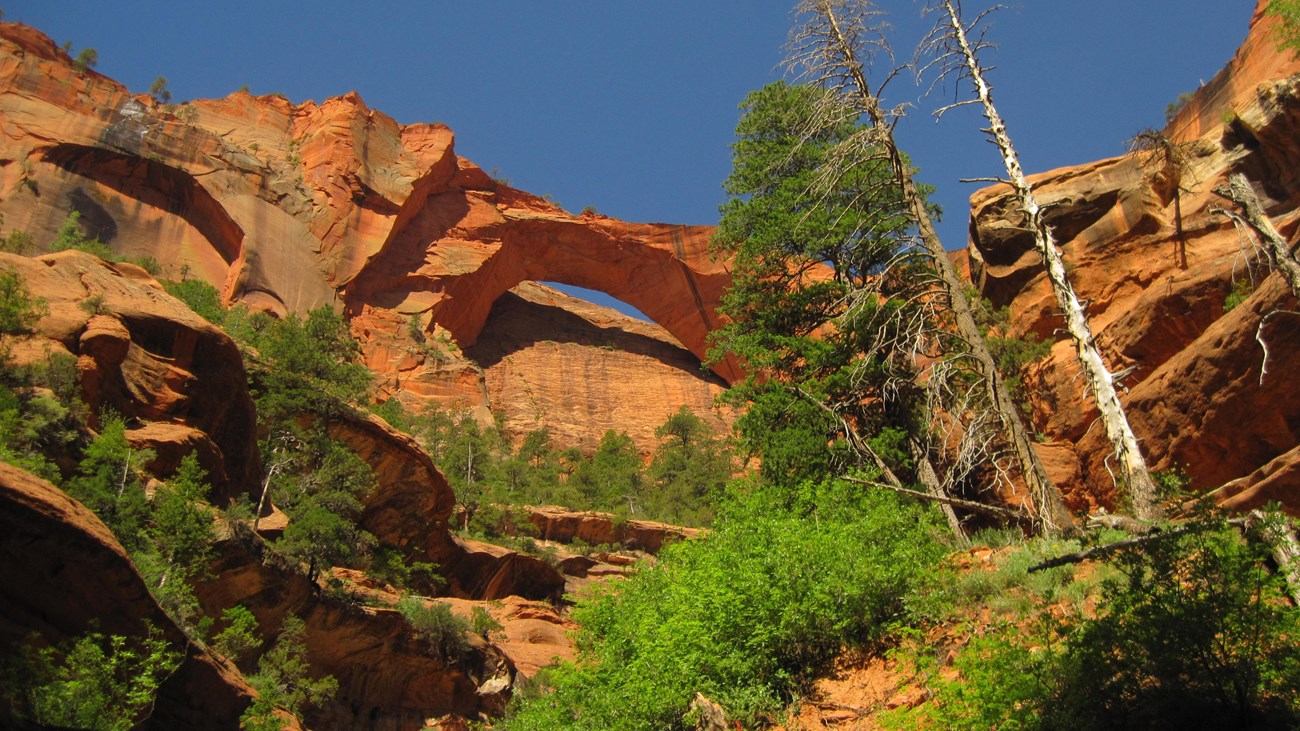 Looking up at an orange-red sandstone arch on a cliff-face with clear blue skies overhead. 