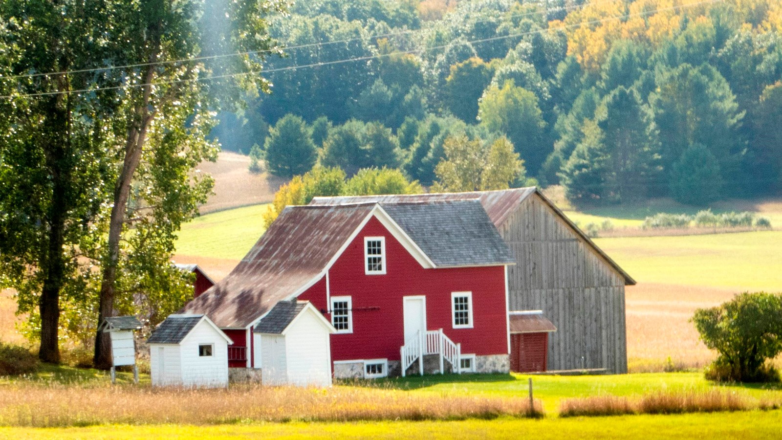 Red gabled building with two small white building in front sitting in a bright light green field