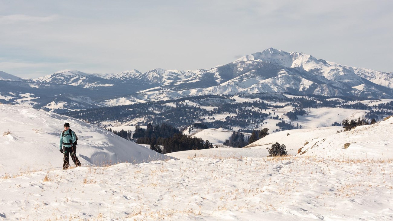 A skier travels along a trail with a mountain peak in the distance.