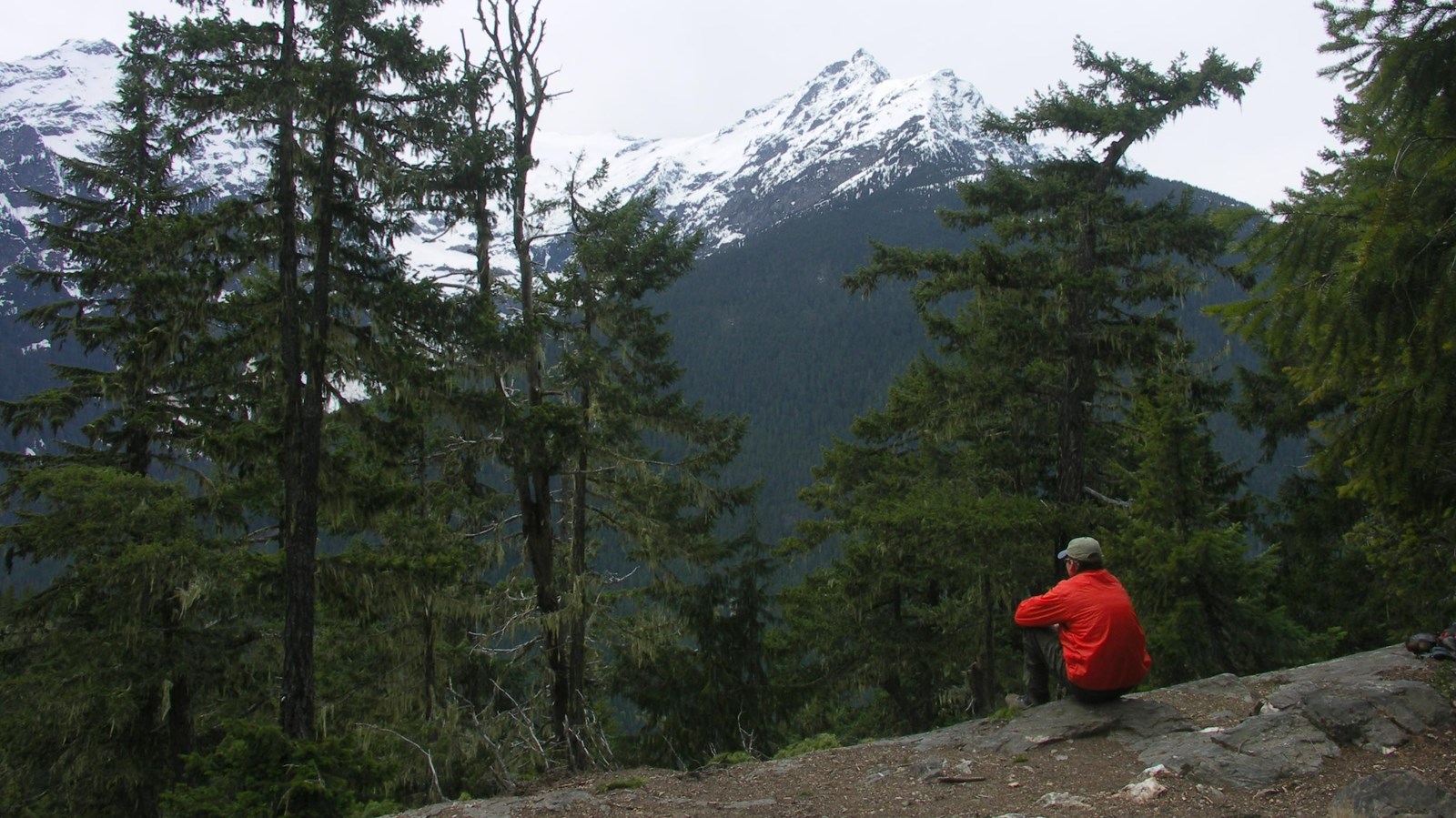 A person sits in the forest looking at a mountain view.