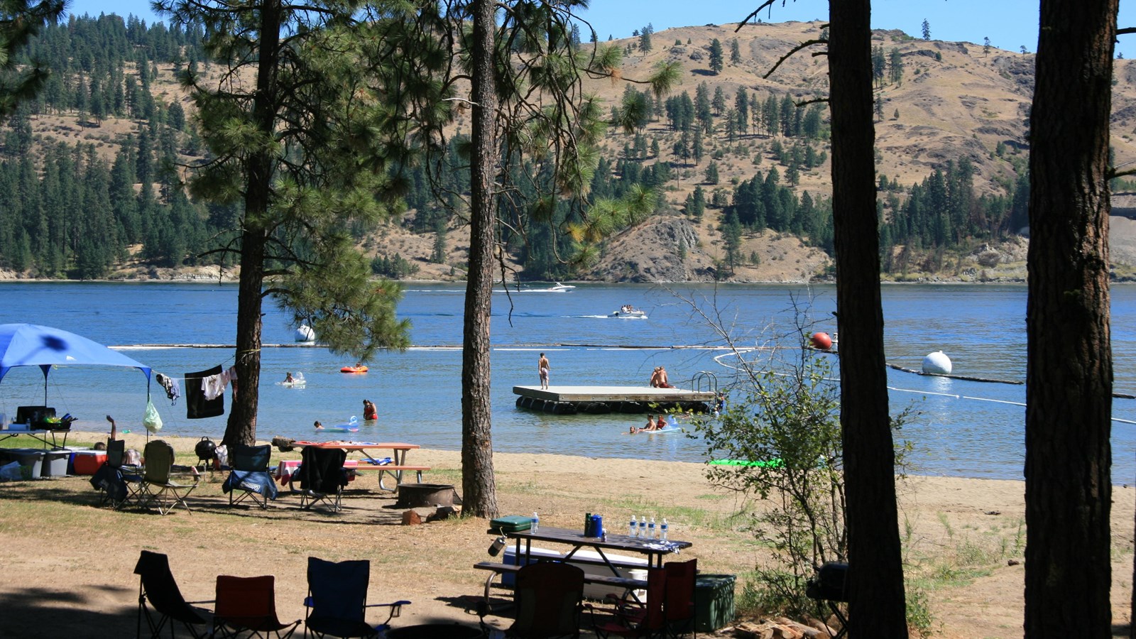 Picnic tables stand in a grassy area among pine trees with people enjoying the lakeshore beyond.