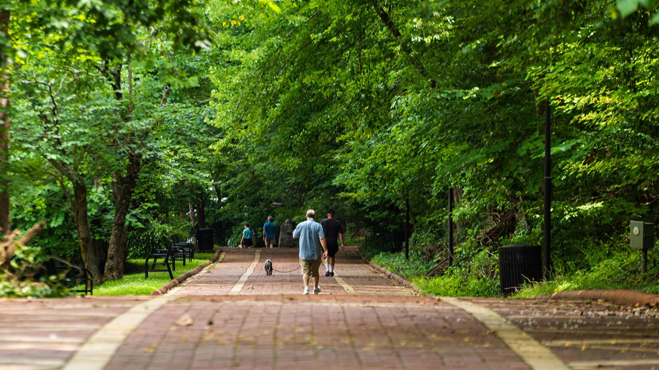 A man walks with his dog down a red brick path surrounded by bright green trees.