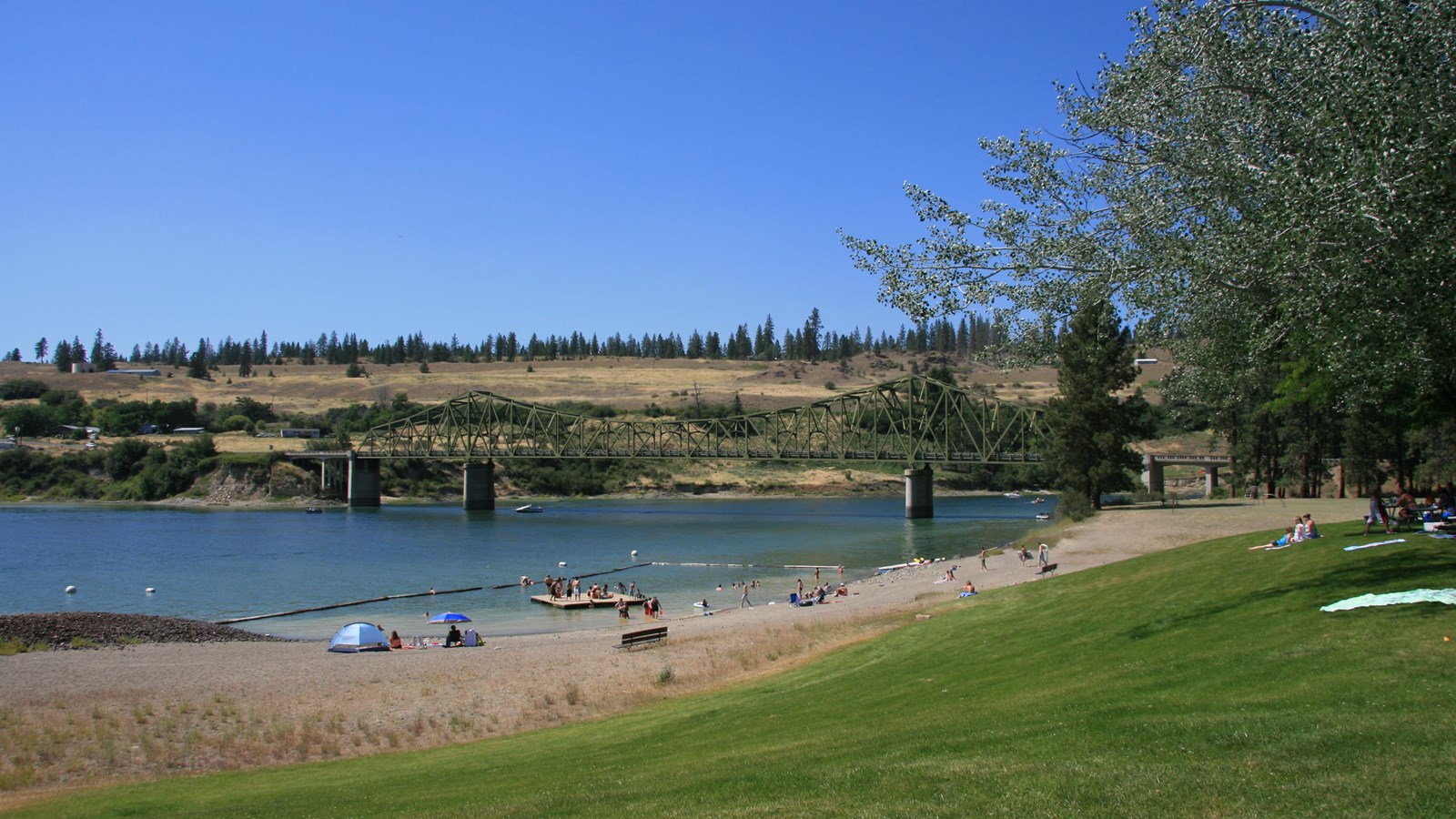 A wide grassy area with picnic tables is adjacent to the shoreline.