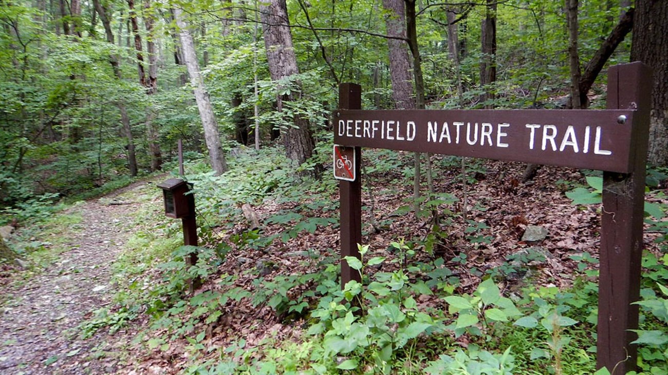 A brown wooden sign reading 