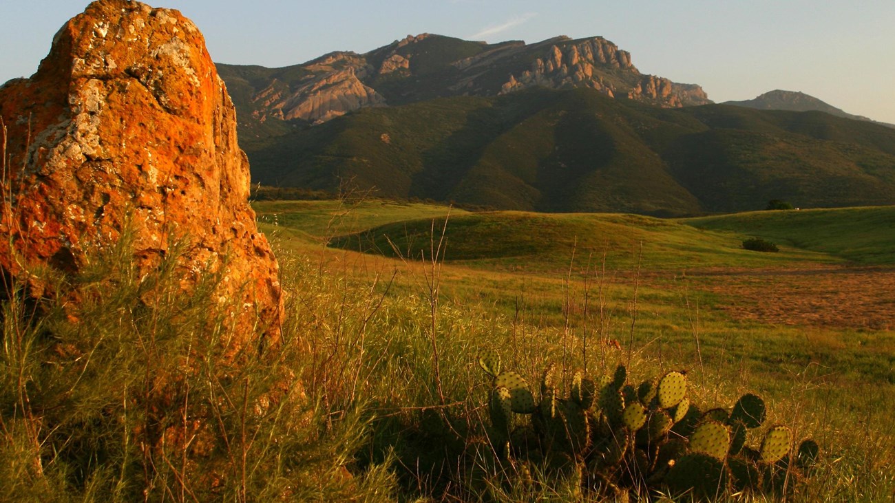 Boney Mountain at sunset with rock and cactus in foreground.