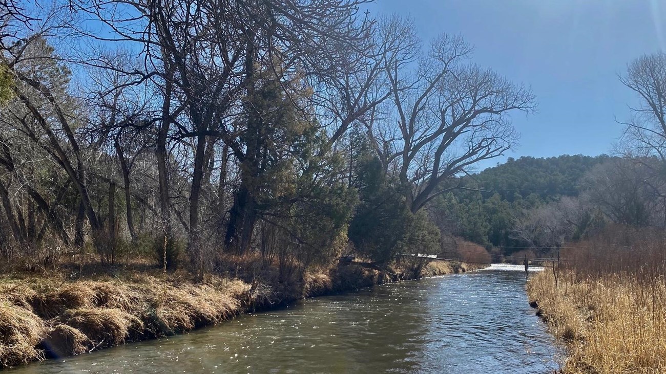 Pecos River, blue sky, grass