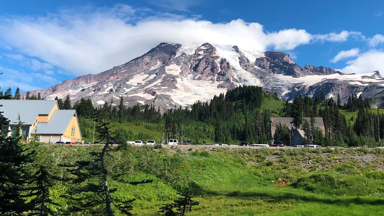 Paradise - Mount Rainier National Park (U.S. National Park Service)