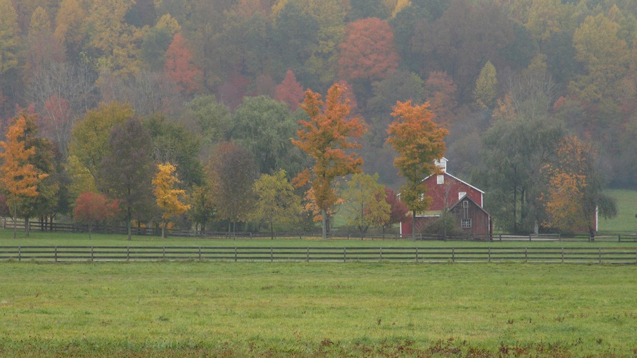 Where to Shoot Fall Colors in Winter Park