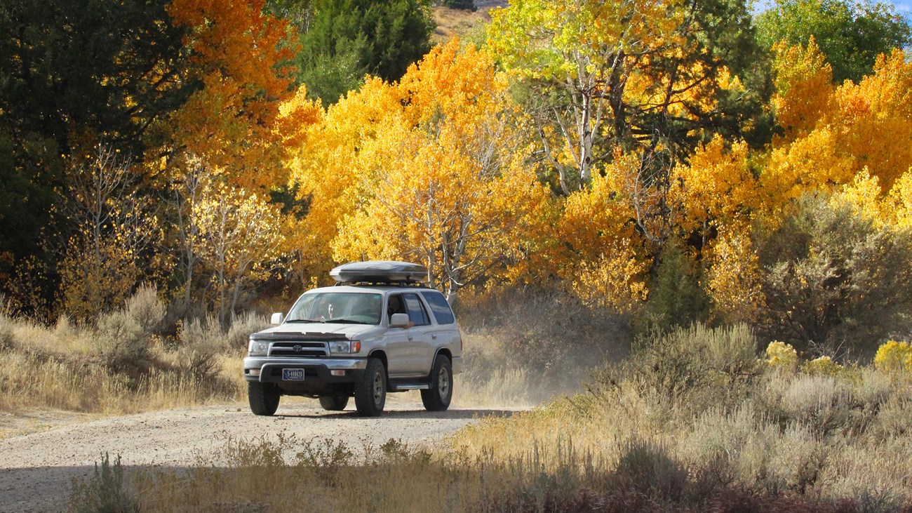A vehicle driving on a dirt road with colorful fall foliage alongside.