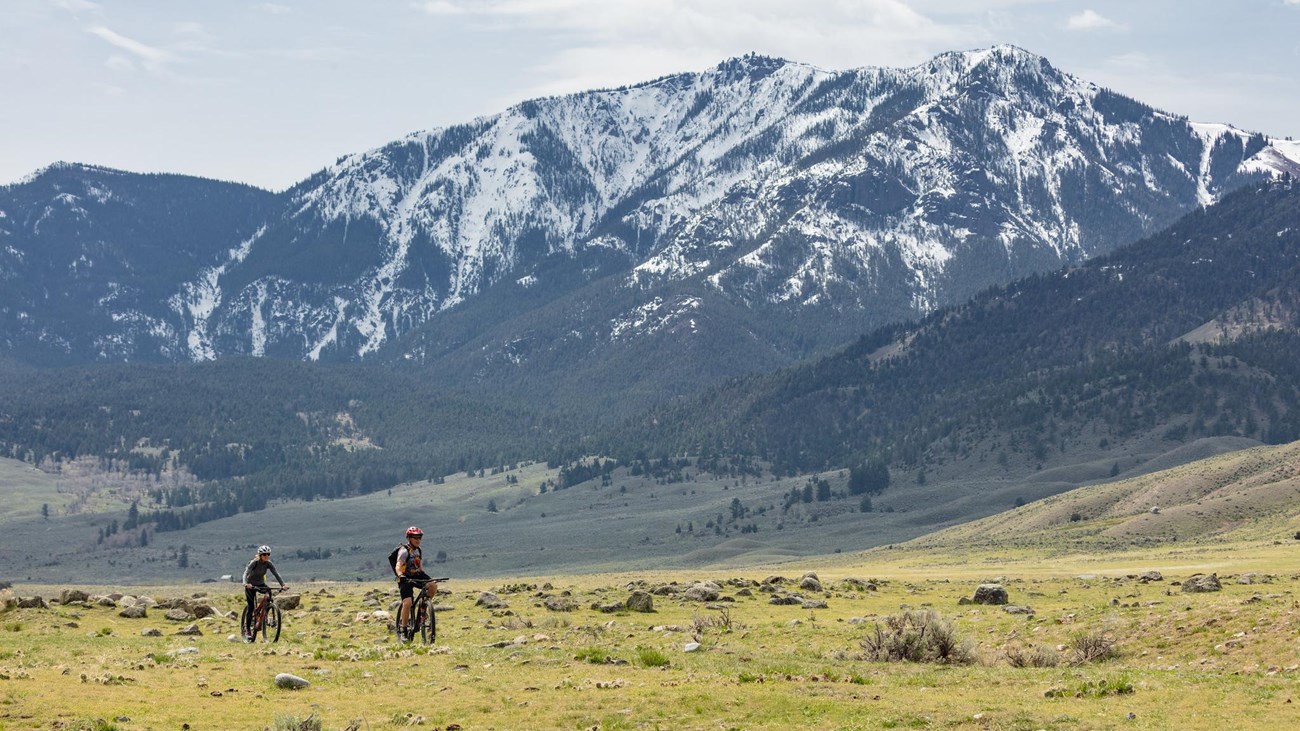 Two people bike through a field of sagebrush in front of a mountain.