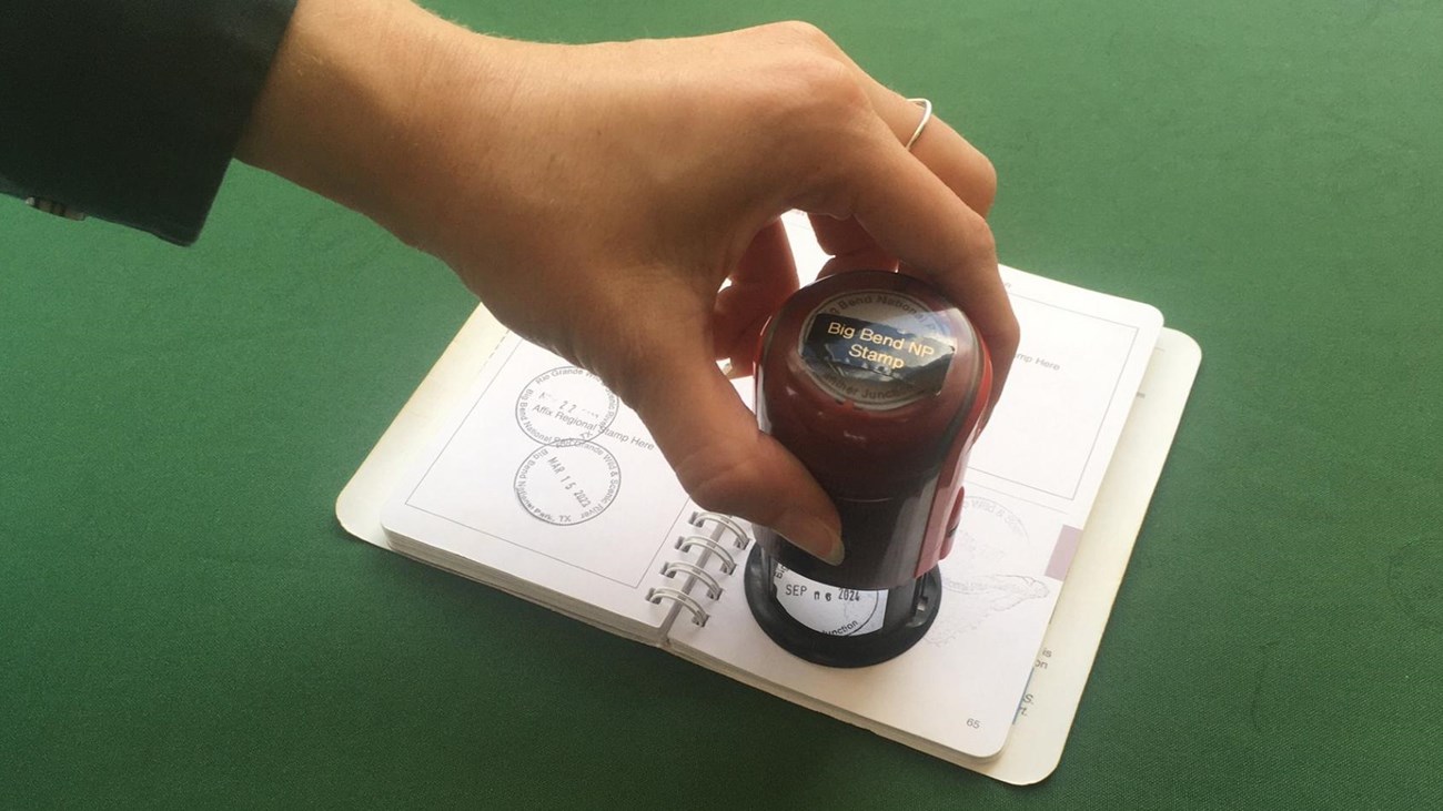 Park visitor stamping their NPS Passport book