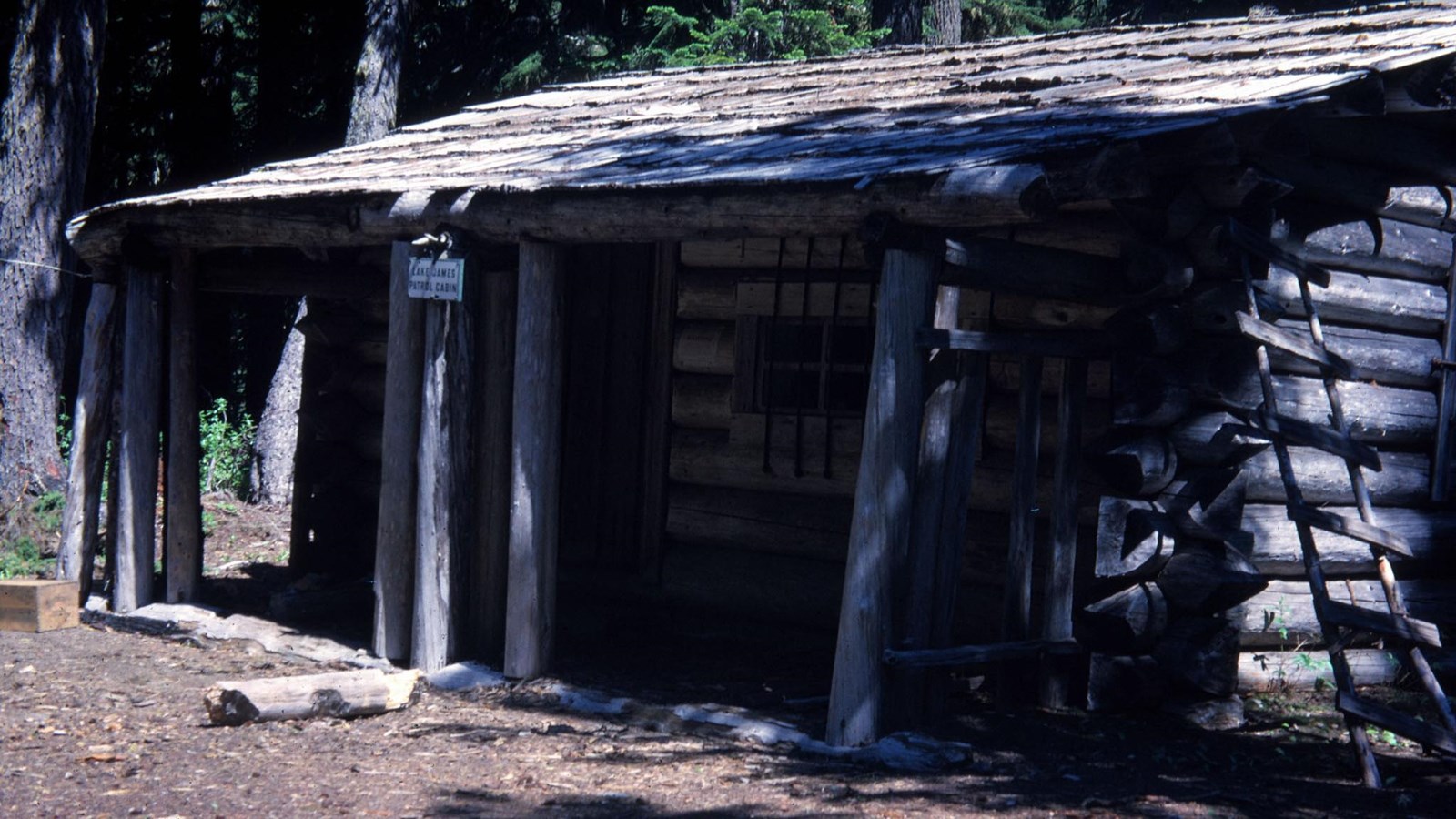 Log cabin surrounded by trees