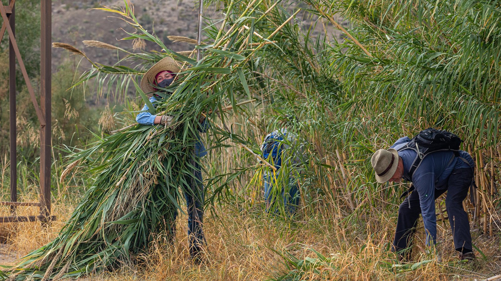 Woods Roamer: The Ancient Fishing People of the Río Grande Delta Region of  South Texas and Northeastern Mexico….