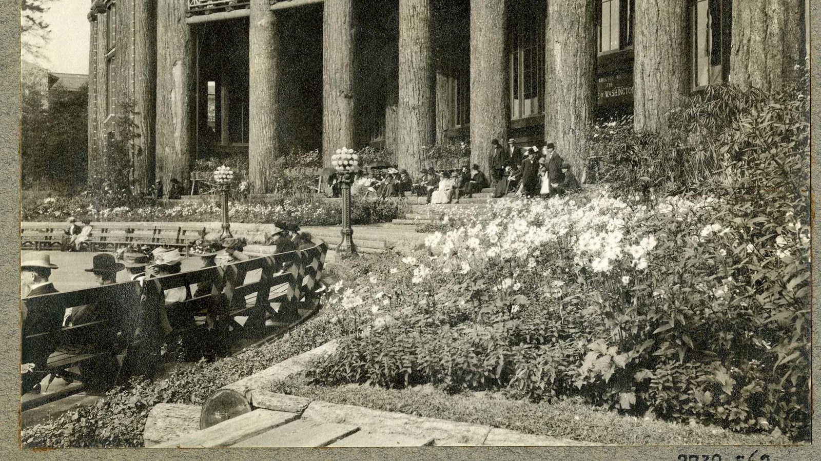 Black and white of large trees behind row of flowers with people standing by trees. 