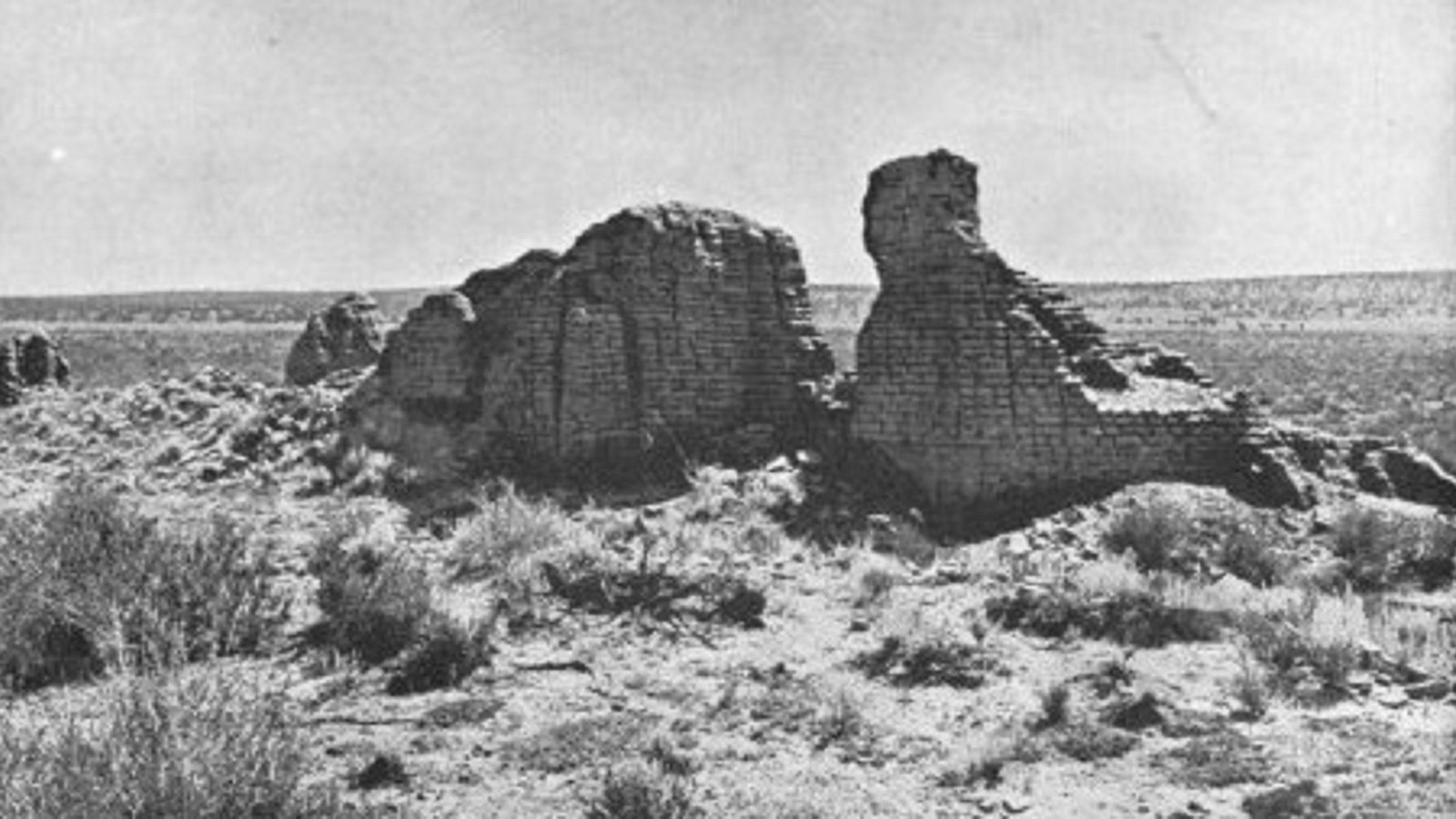 Brick walls in ruin stand in the desert, small bushes in front left corner of image